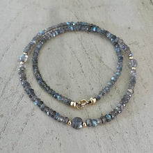 Load image into Gallery viewer, Labradorite Coin Necklace
